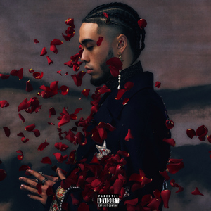 日本ⅩXXXXXXXXX62
